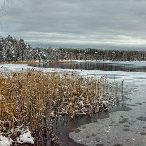 Photo #6914116
