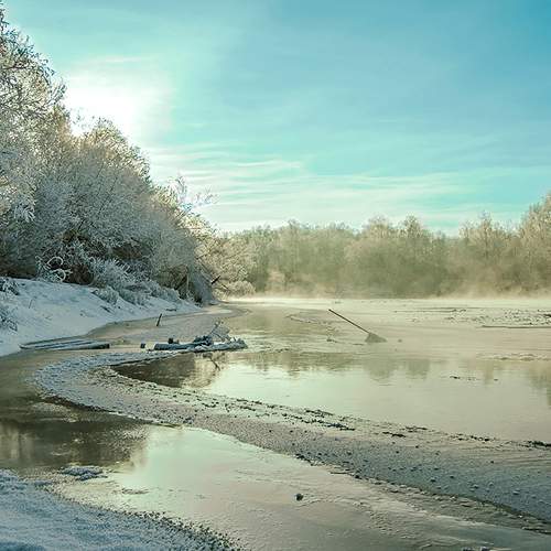Photo #6914123