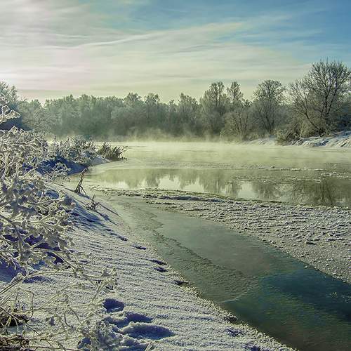Photo #6914125
