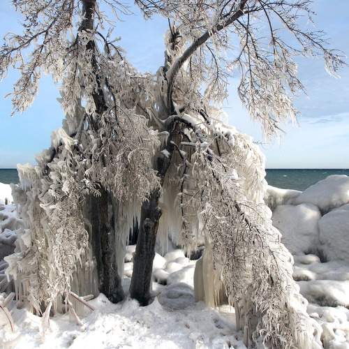 Photo #6914165
