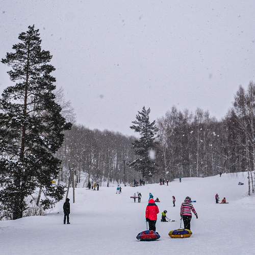 Photo #6914179