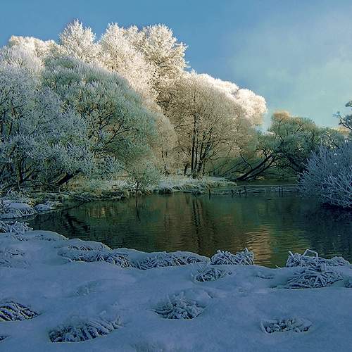 Photo #6914237