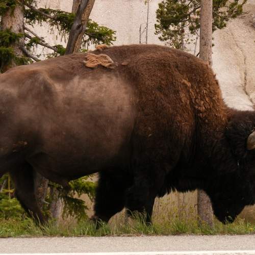 Photo #6914367