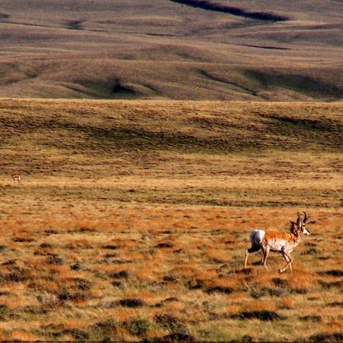 Photo #6914368
