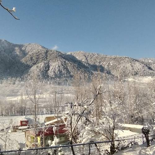 Photo #6914510