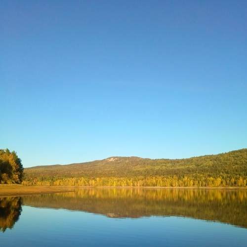 Photo #6914544