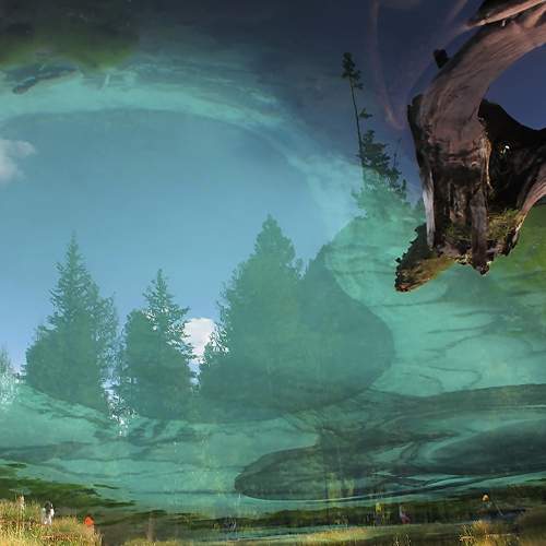 Photo #6914603