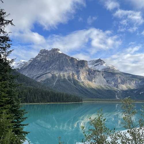 Photo #6914842