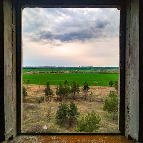 Photo #6915101