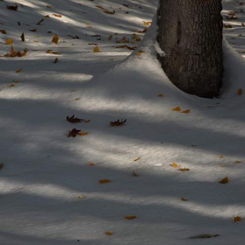Photo #6915223