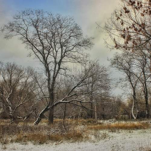 Photo #6915344
