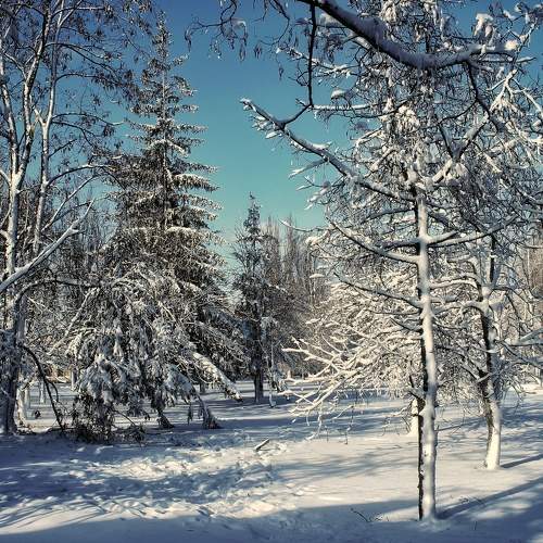 Photo #6915350