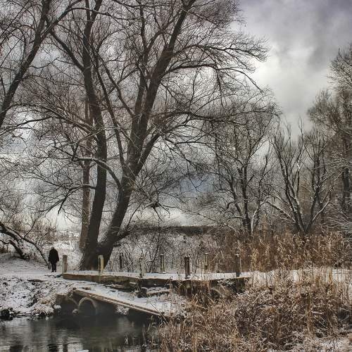 Photo #6915358