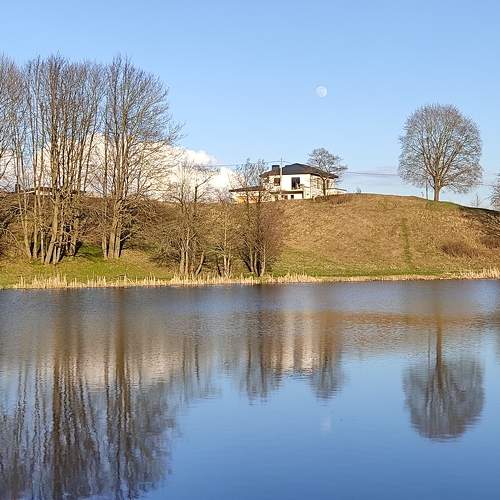 Photo #6915408