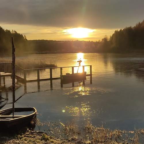 Photo #6915445