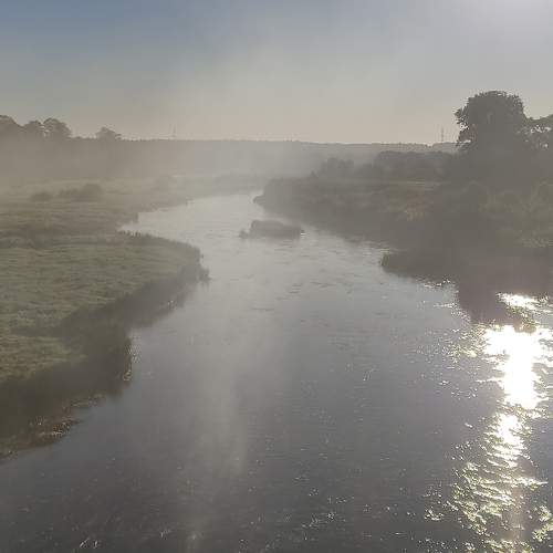 Photo #6915451