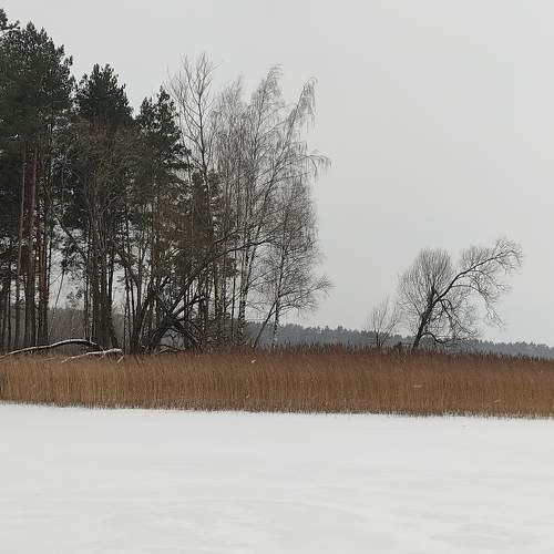 Photo #6915469