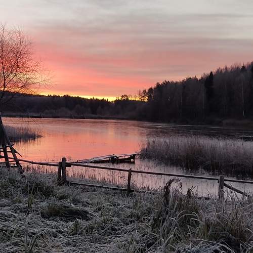 Photo #6915481