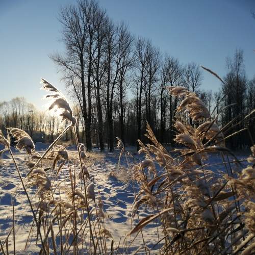 Photo #6915529