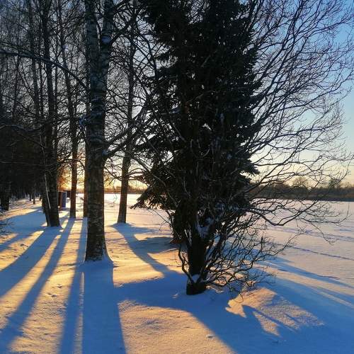 Photo #6915538