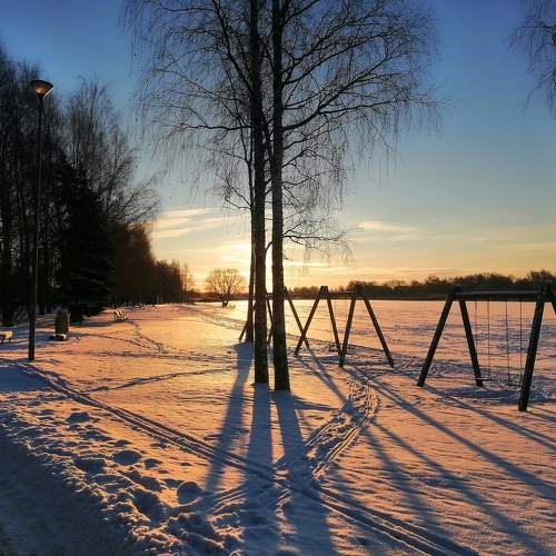 Photo #6915544
