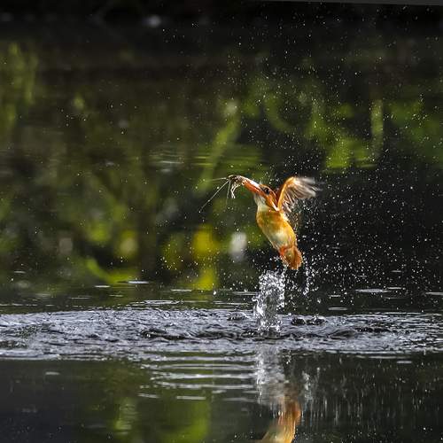 Фотография #6915917