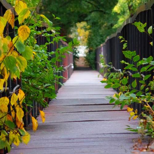 Photo #6916028