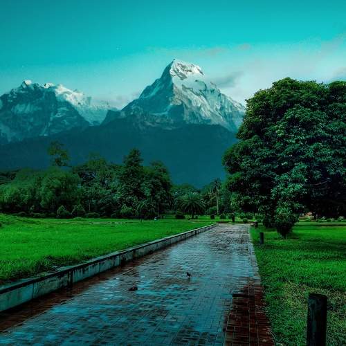 Photo #6916048