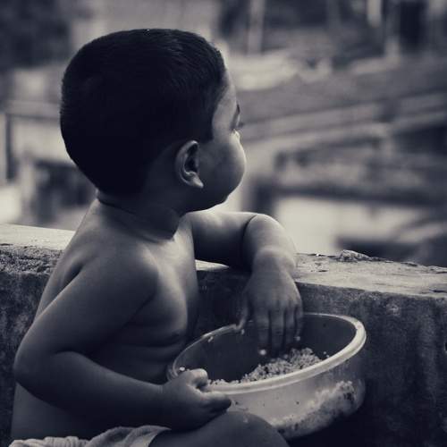 Photo #6916250