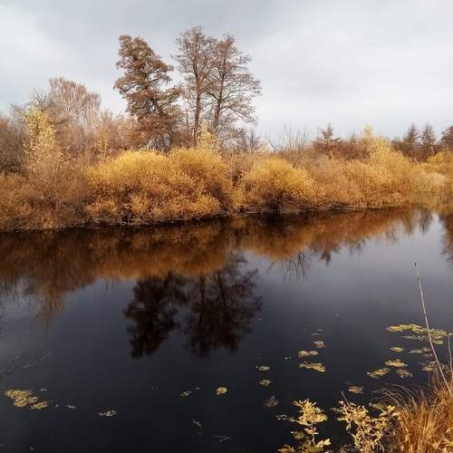 Photo #6916591