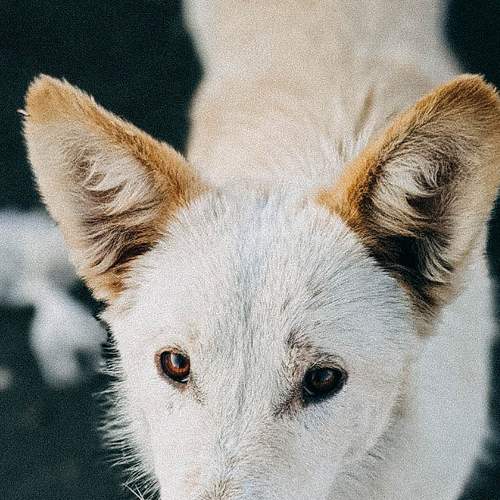 Photo #6916905