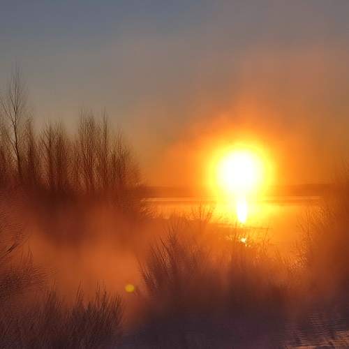 Photo #6917045