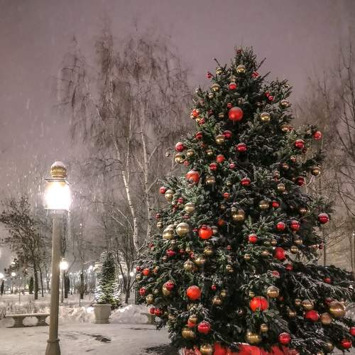 Photo #6917056