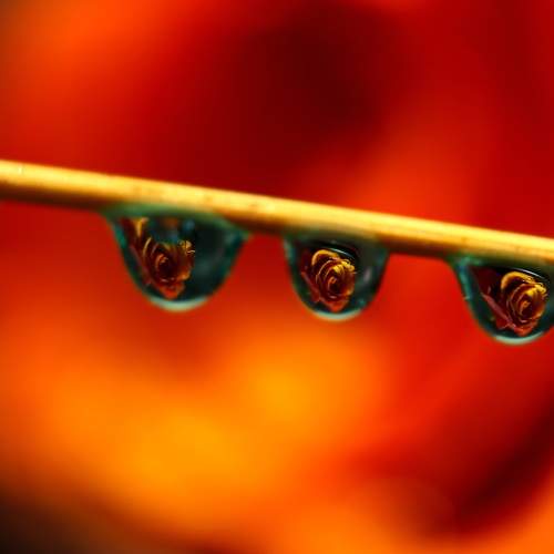 Photo #6917262