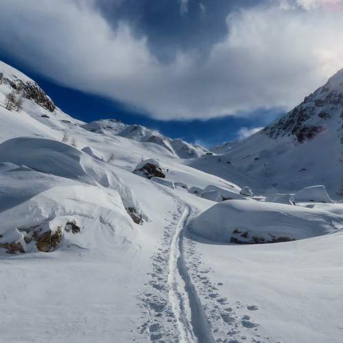 Photo #6917331