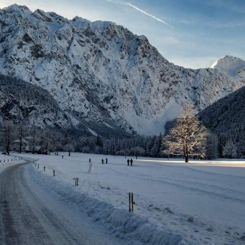 Photo #6917342