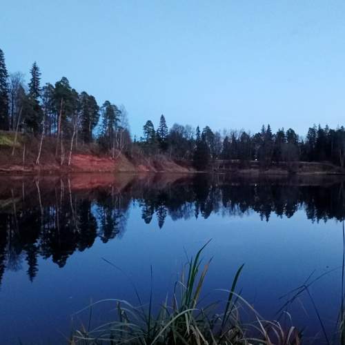 Photo #6917565