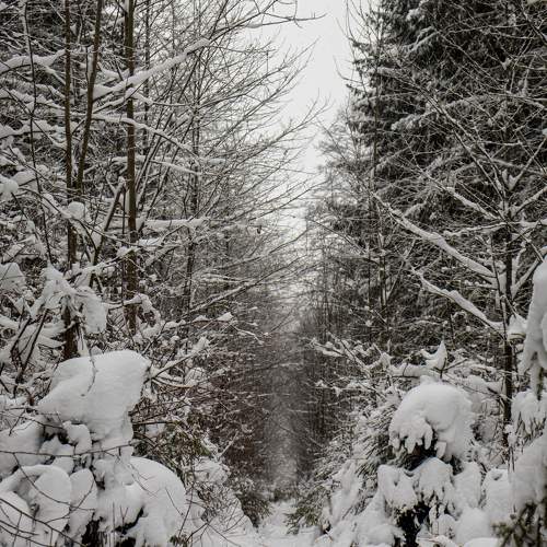 Photo #6917690