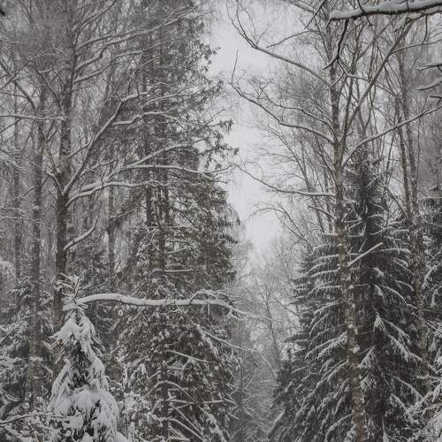 Photo #6917691