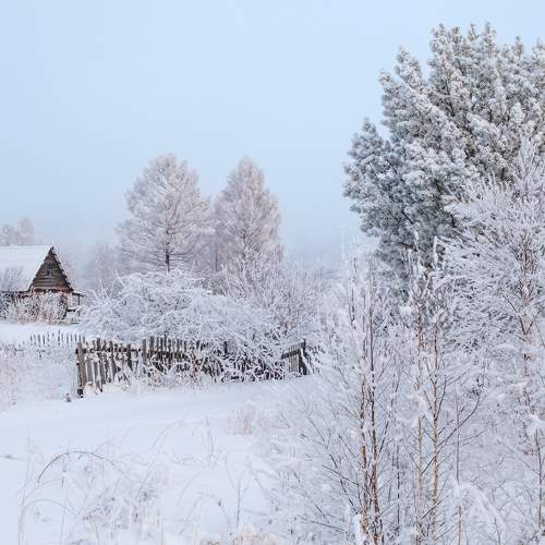 Photo #6917755