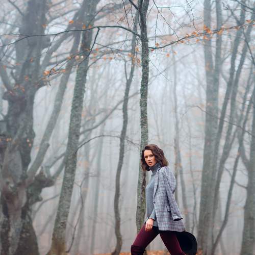 Photo #6917912