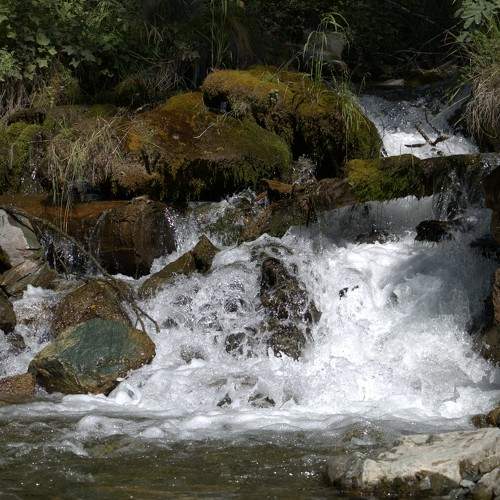 Photo #6917934