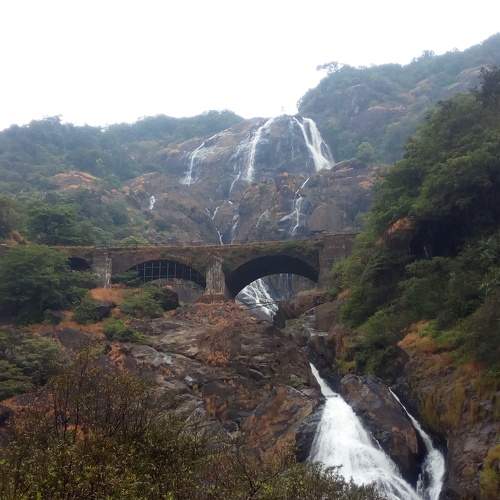 Photo #6917947