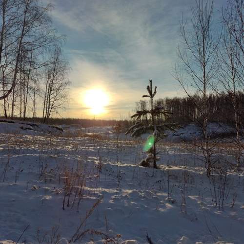 Photo #6918186