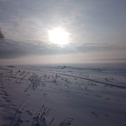 Photo #6918271