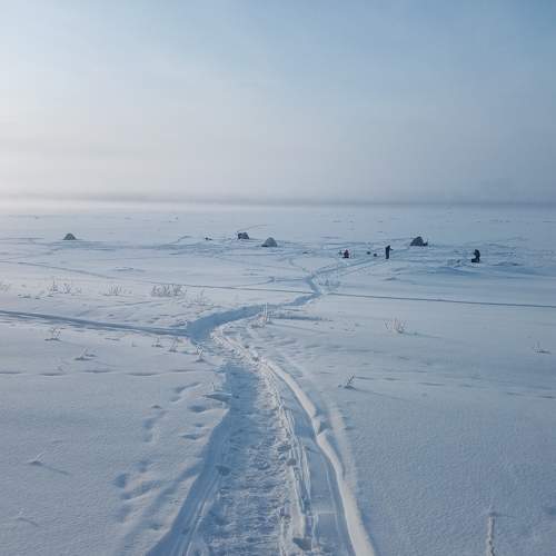 Photo #6918272