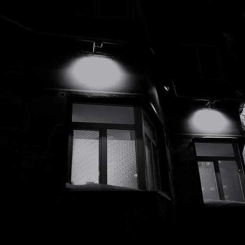 Photo #6918311