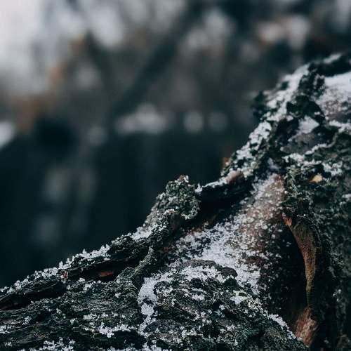 Photo #6918375