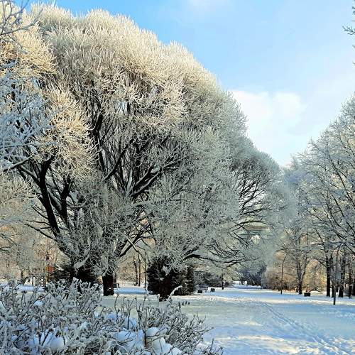 Photo #6919205