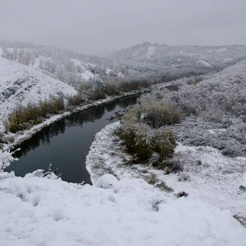 Photo #6919309